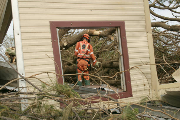 Best Fruit Tree Pruning  in Galena Park, TX